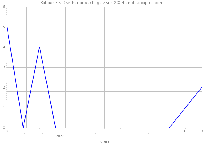 Babaar B.V. (Netherlands) Page visits 2024 