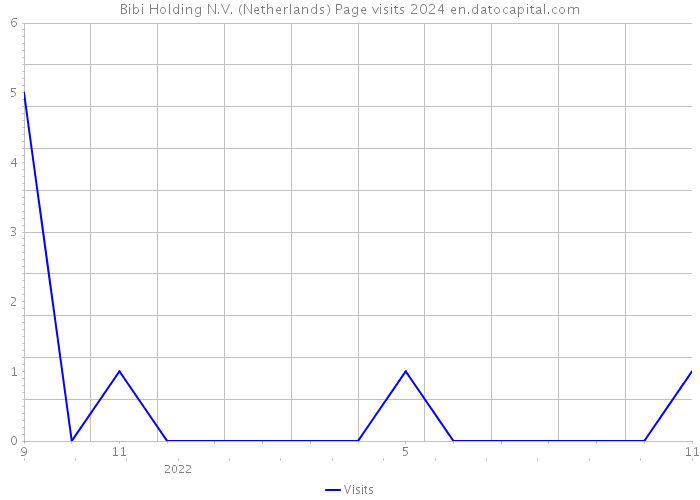 Bibi Holding N.V. (Netherlands) Page visits 2024 