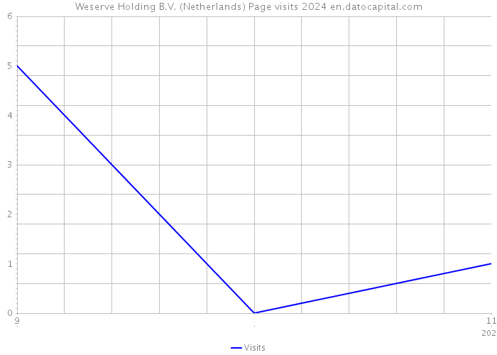 Weserve Holding B.V. (Netherlands) Page visits 2024 