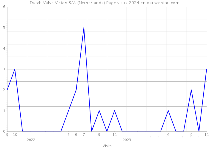 Dutch Valve Vision B.V. (Netherlands) Page visits 2024 