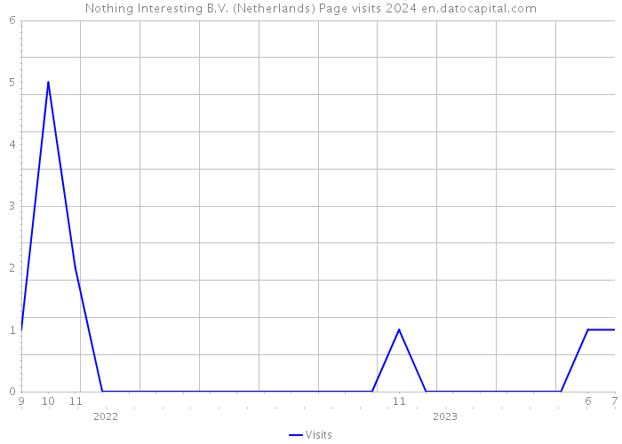 Nothing Interesting B.V. (Netherlands) Page visits 2024 