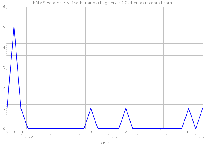 RMMS Holding B.V. (Netherlands) Page visits 2024 