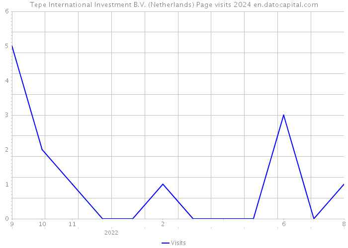 Tepe International Investment B.V. (Netherlands) Page visits 2024 