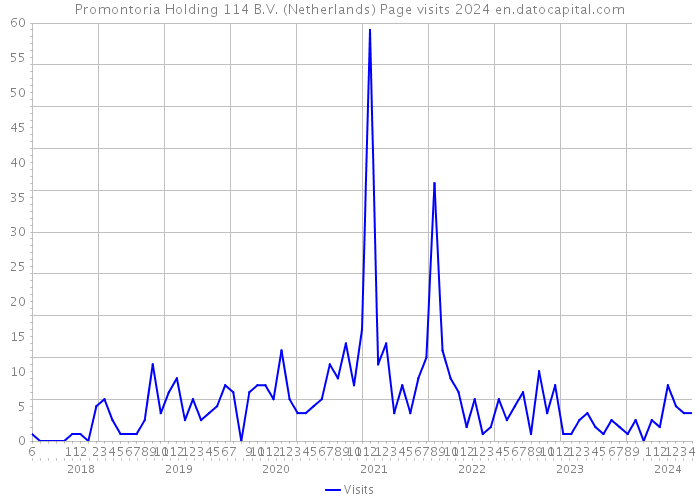 Promontoria Holding 114 B.V. (Netherlands) Page visits 2024 
