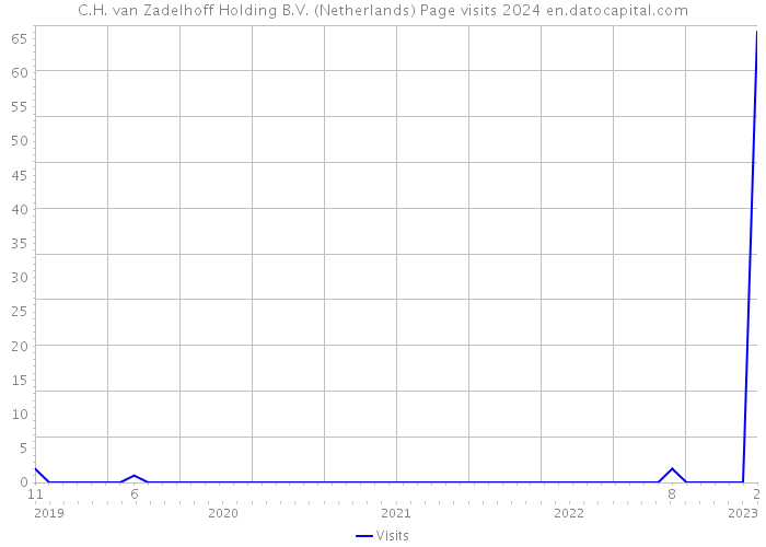C.H. van Zadelhoff Holding B.V. (Netherlands) Page visits 2024 