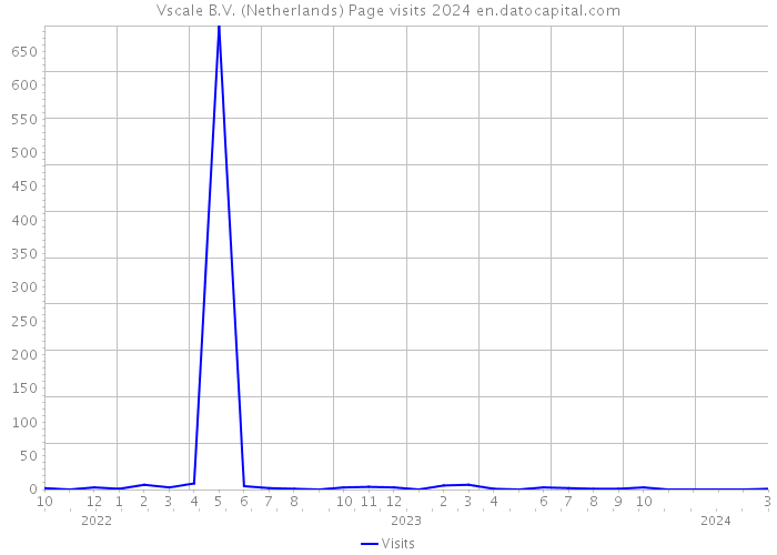 Vscale B.V. (Netherlands) Page visits 2024 