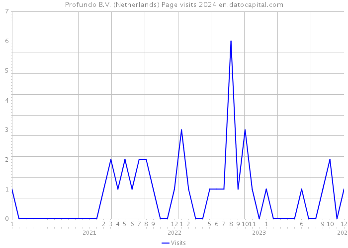 Profundo B.V. (Netherlands) Page visits 2024 