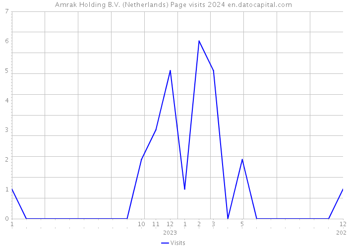 Amrak Holding B.V. (Netherlands) Page visits 2024 