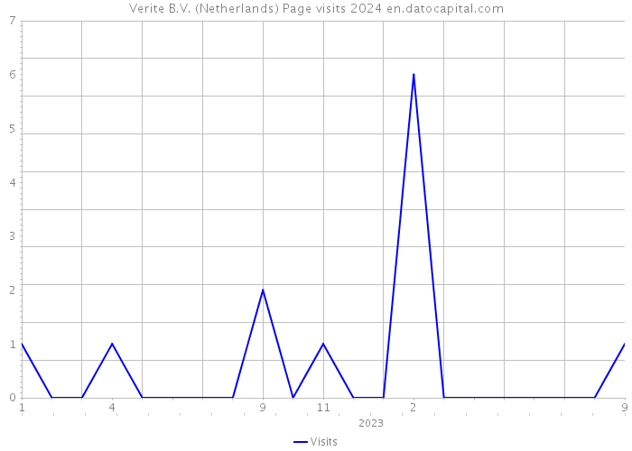 Verite B.V. (Netherlands) Page visits 2024 