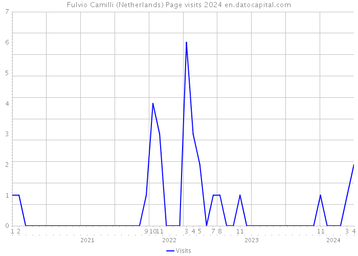 Fulvio Camilli (Netherlands) Page visits 2024 