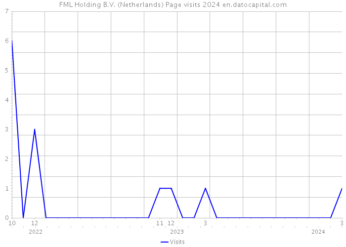FML Holding B.V. (Netherlands) Page visits 2024 