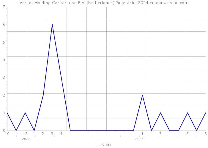 Veritas Holding Corporation B.V. (Netherlands) Page visits 2024 