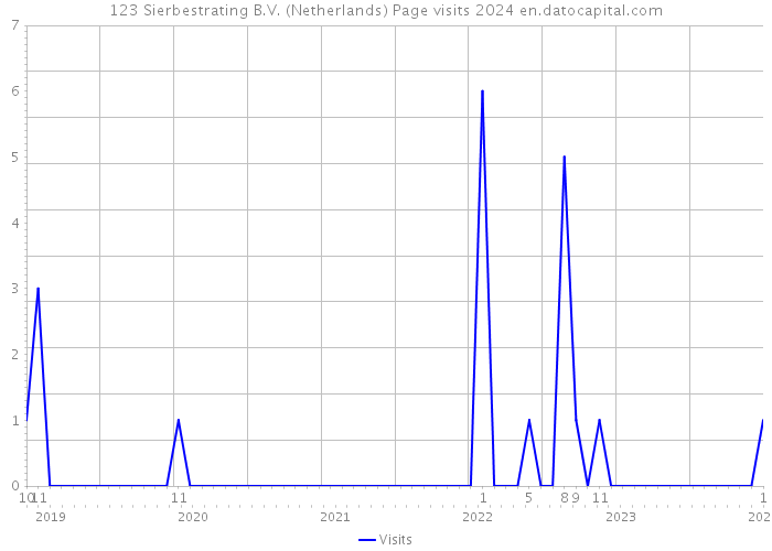 123 Sierbestrating B.V. (Netherlands) Page visits 2024 