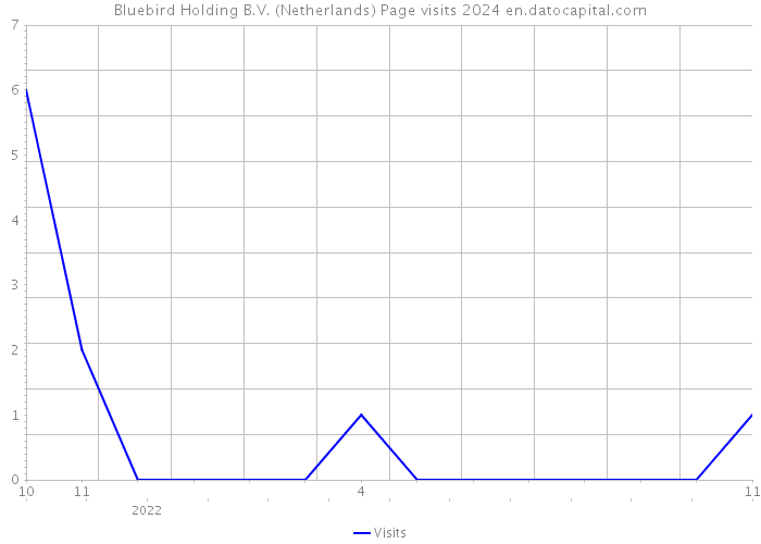 Bluebird Holding B.V. (Netherlands) Page visits 2024 