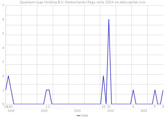 Quantum Leap Holding B.V. (Netherlands) Page visits 2024 