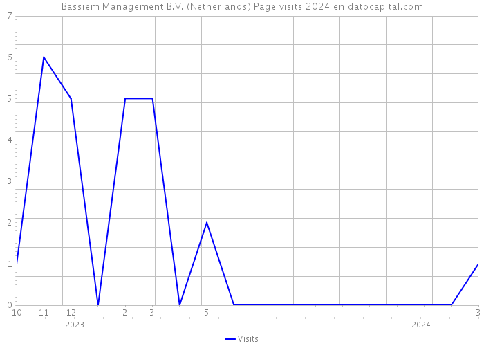 Bassiem Management B.V. (Netherlands) Page visits 2024 