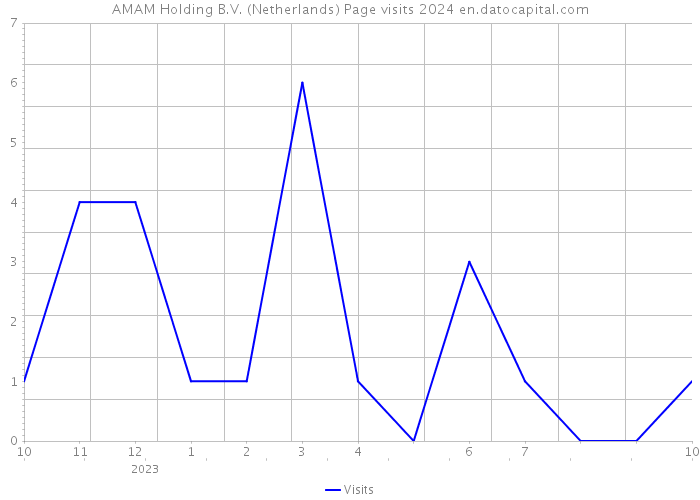 AMAM Holding B.V. (Netherlands) Page visits 2024 
