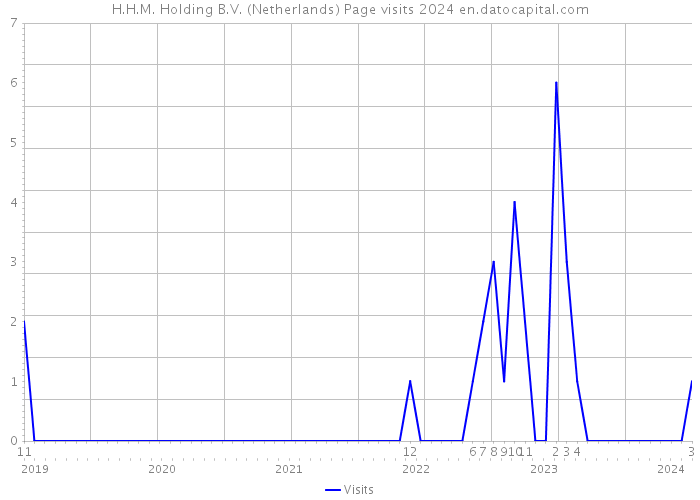 H.H.M. Holding B.V. (Netherlands) Page visits 2024 