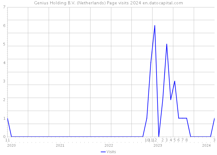 Genius Holding B.V. (Netherlands) Page visits 2024 