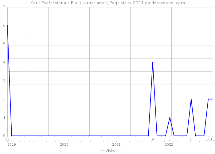 Your Professionals B.V. (Netherlands) Page visits 2024 