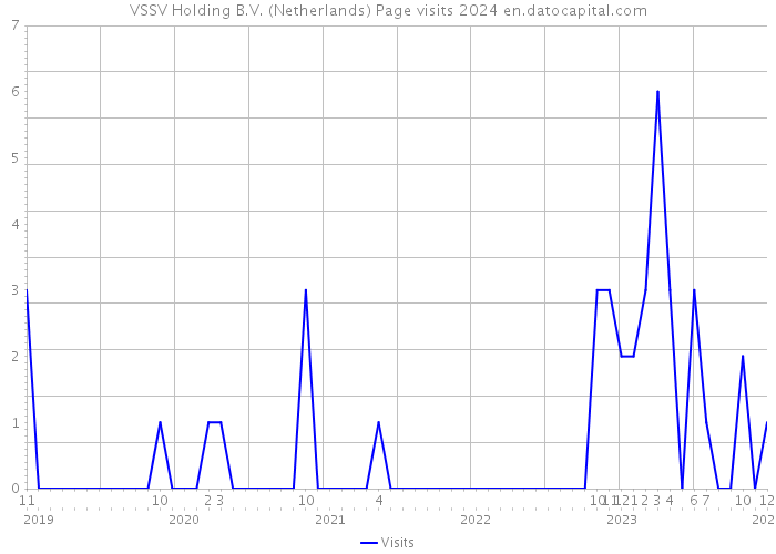 VSSV Holding B.V. (Netherlands) Page visits 2024 