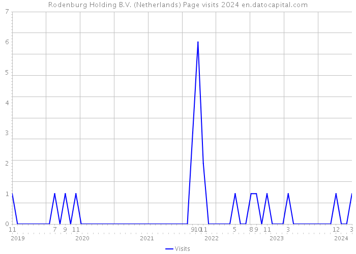 Rodenburg Holding B.V. (Netherlands) Page visits 2024 