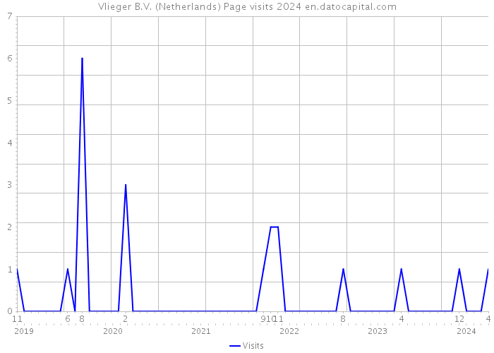 Vlieger B.V. (Netherlands) Page visits 2024 