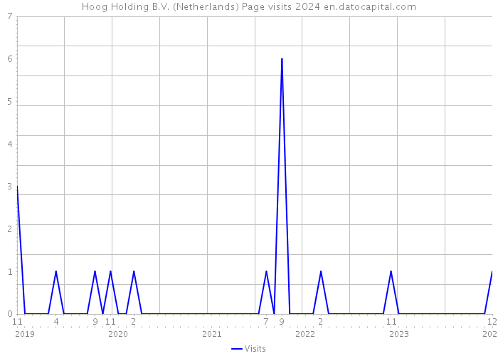 Hoog Holding B.V. (Netherlands) Page visits 2024 