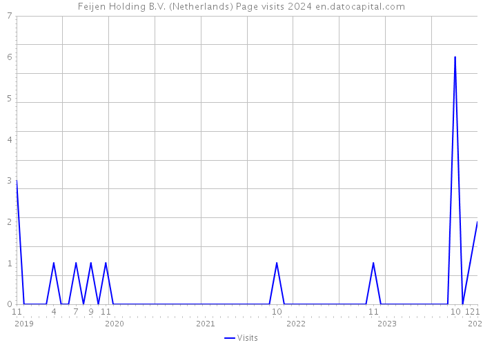 Feijen Holding B.V. (Netherlands) Page visits 2024 