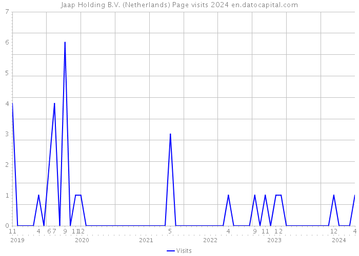 Jaap Holding B.V. (Netherlands) Page visits 2024 