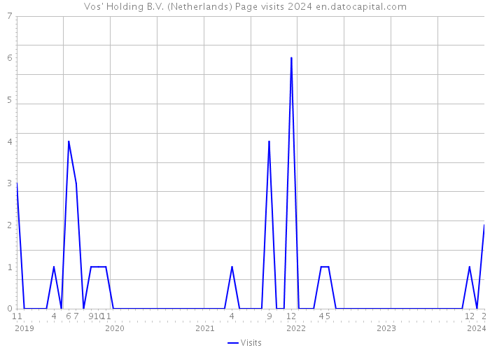 Vos' Holding B.V. (Netherlands) Page visits 2024 
