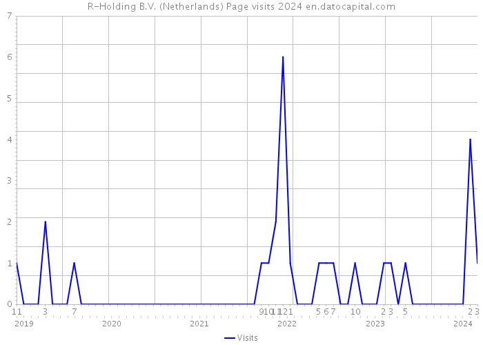R-Holding B.V. (Netherlands) Page visits 2024 