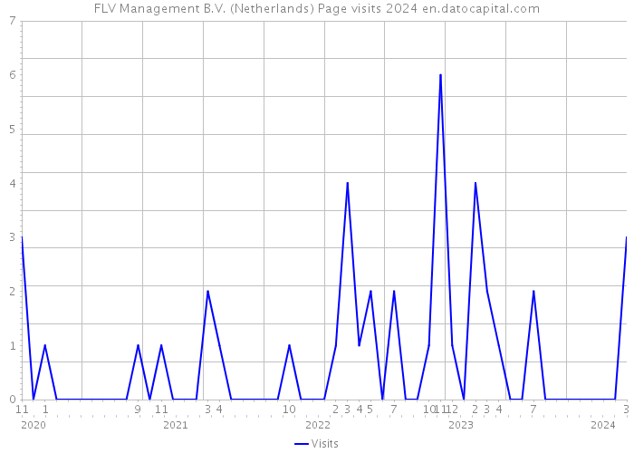 FLV Management B.V. (Netherlands) Page visits 2024 