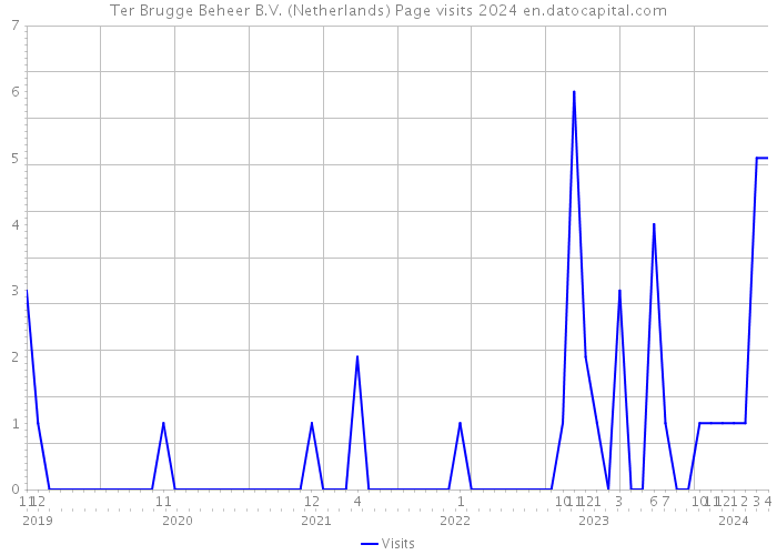 Ter Brugge Beheer B.V. (Netherlands) Page visits 2024 