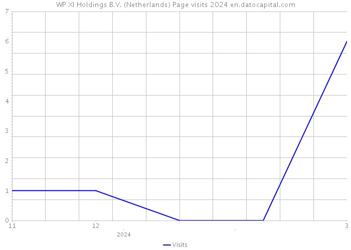 WP XI Holdings B.V. (Netherlands) Page visits 2024 
