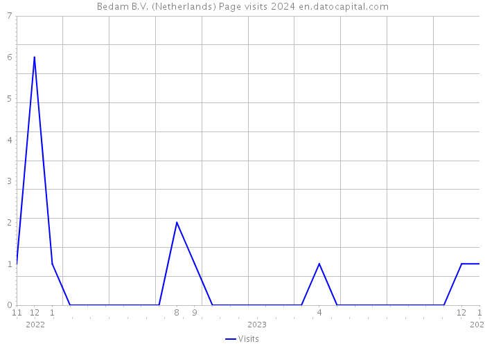 Bedam B.V. (Netherlands) Page visits 2024 