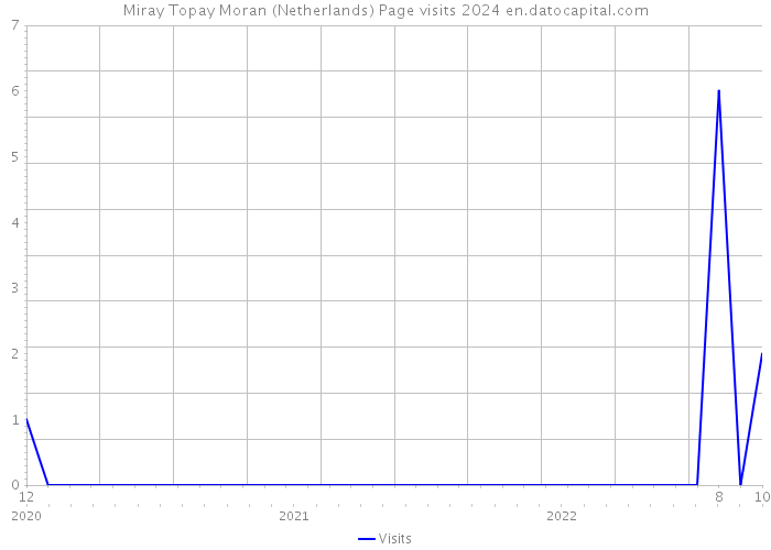 Miray Topay Moran (Netherlands) Page visits 2024 
