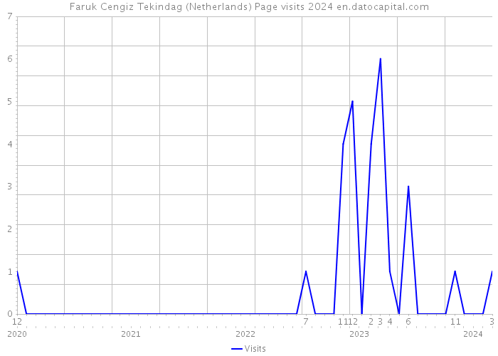 Faruk Cengiz Tekindag (Netherlands) Page visits 2024 