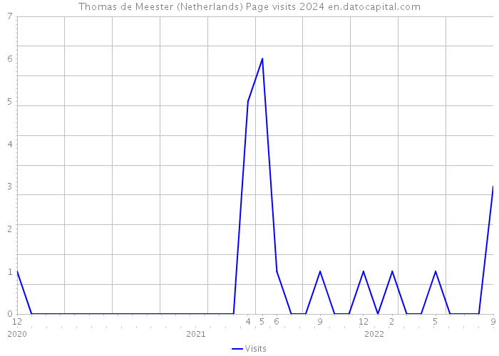 Thomas de Meester (Netherlands) Page visits 2024 