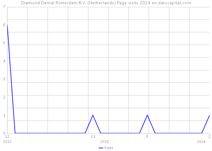 Diamond Dental Rotterdam B.V. (Netherlands) Page visits 2024 