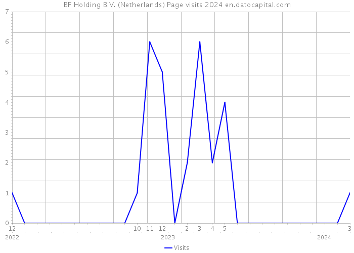BF Holding B.V. (Netherlands) Page visits 2024 
