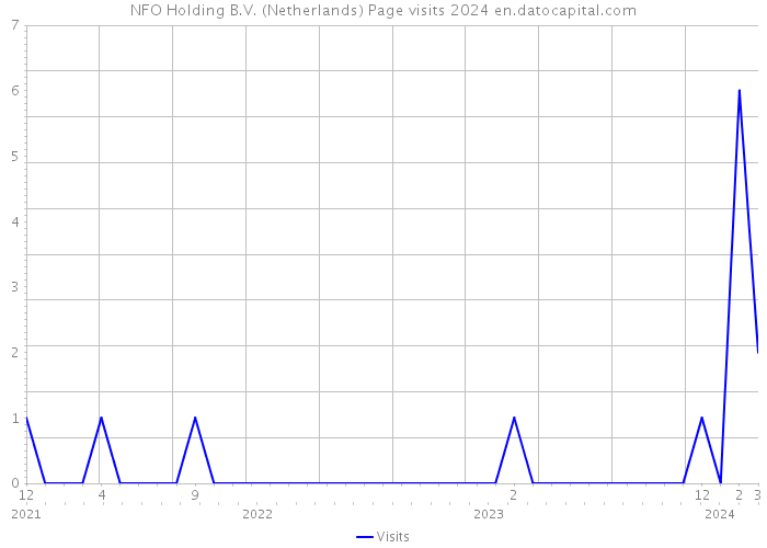 NFO Holding B.V. (Netherlands) Page visits 2024 