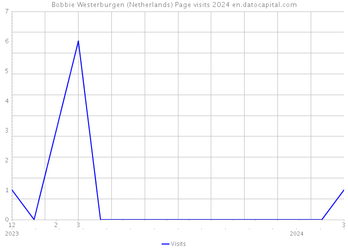 Bobbie Westerburgen (Netherlands) Page visits 2024 