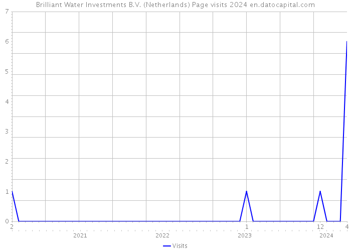 Brilliant Water Investments B.V. (Netherlands) Page visits 2024 