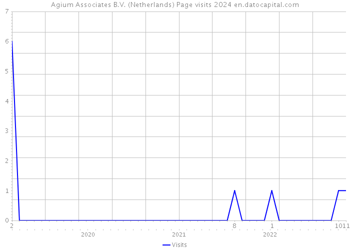 Agium Associates B.V. (Netherlands) Page visits 2024 