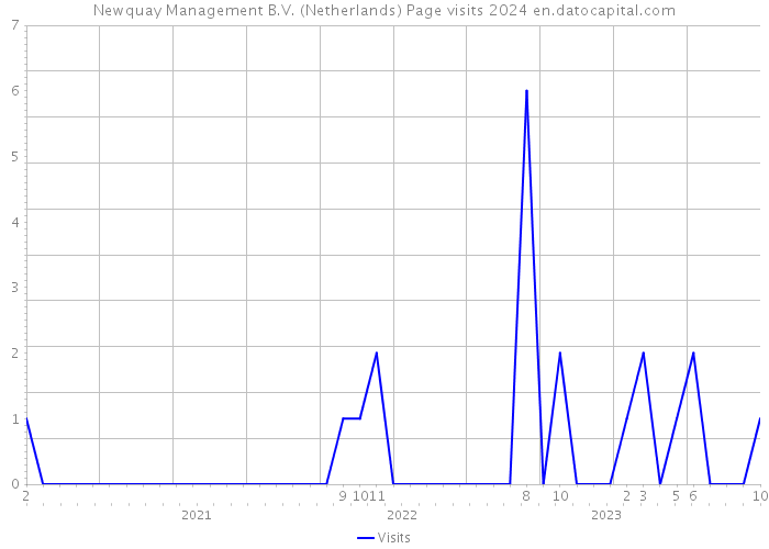 Newquay Management B.V. (Netherlands) Page visits 2024 