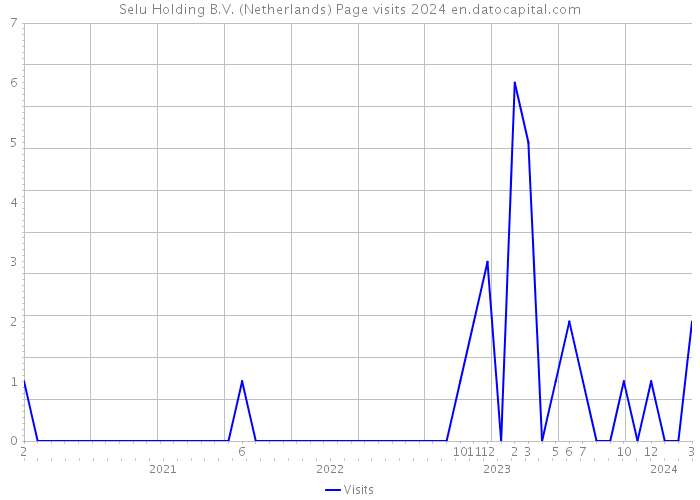 Selu Holding B.V. (Netherlands) Page visits 2024 