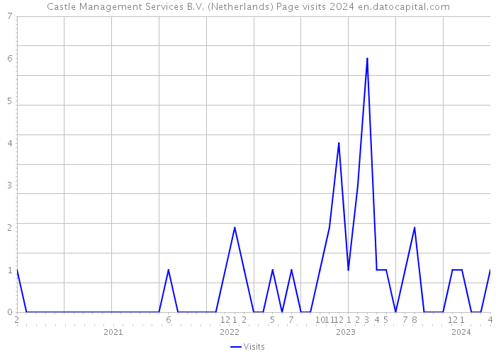 Castle Management Services B.V. (Netherlands) Page visits 2024 
