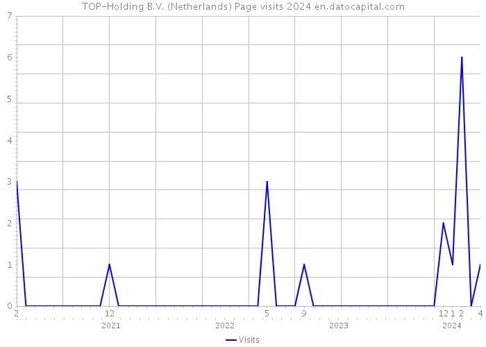 TOP-Holding B.V. (Netherlands) Page visits 2024 