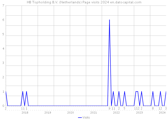 HB Topholding B.V. (Netherlands) Page visits 2024 